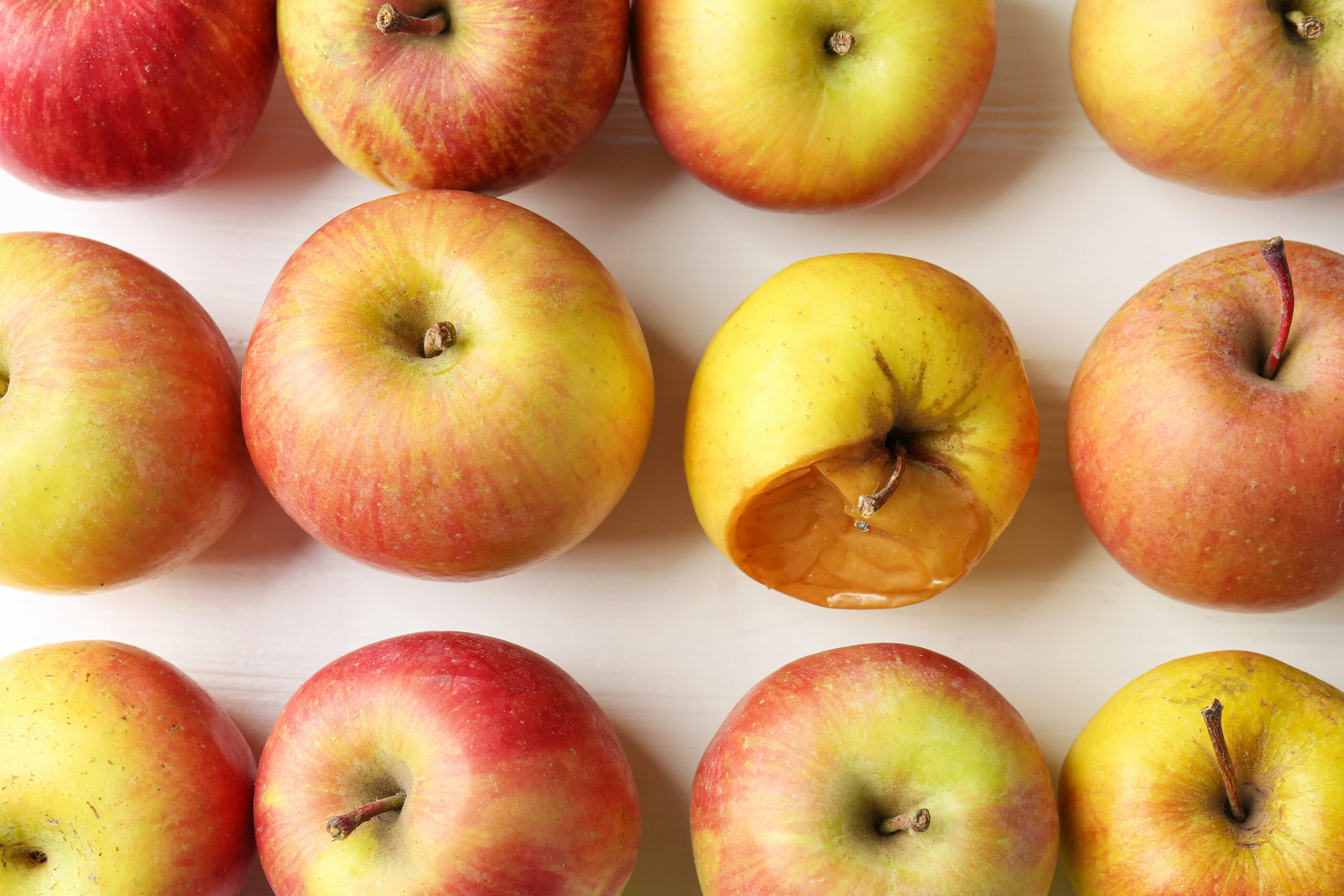 Rotten apple among fresh ones on white wooden table, flat lay